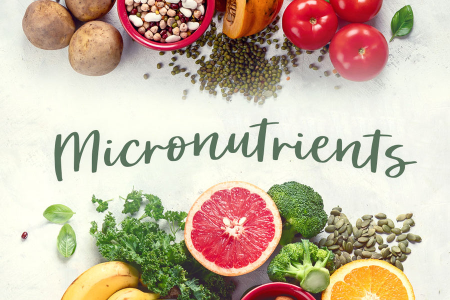Feed Scarborough Presents: Micronutrients!
